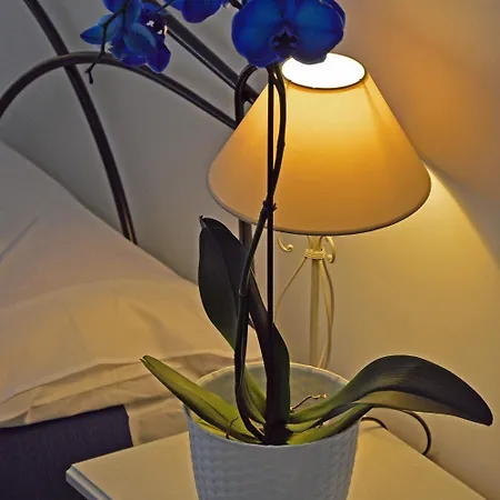 Casa Via Cesena Róma