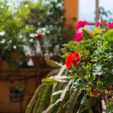 Apartamento Casa Via Cesena *