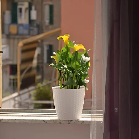 Casa Via Cesena Roma