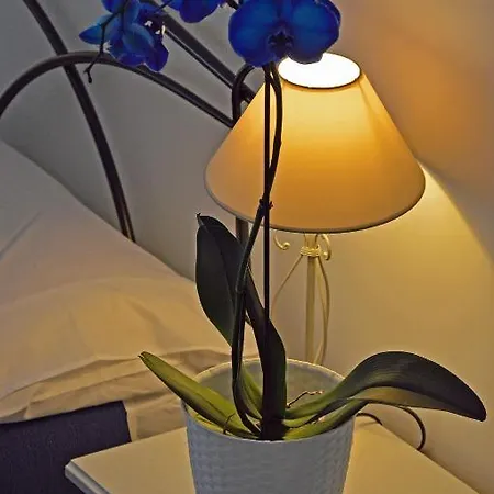 Appartement Casa Via Cesena *